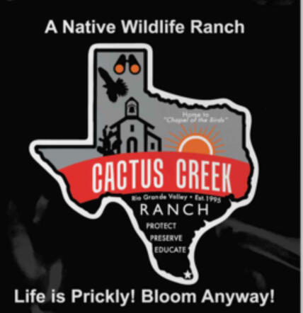 Cactus Creek Ranch
