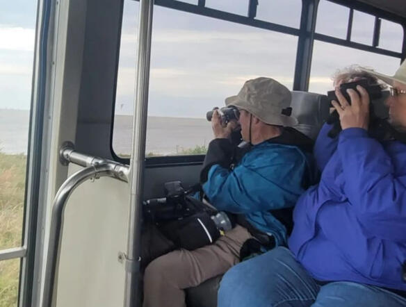 Wildlife Viewing By Bus